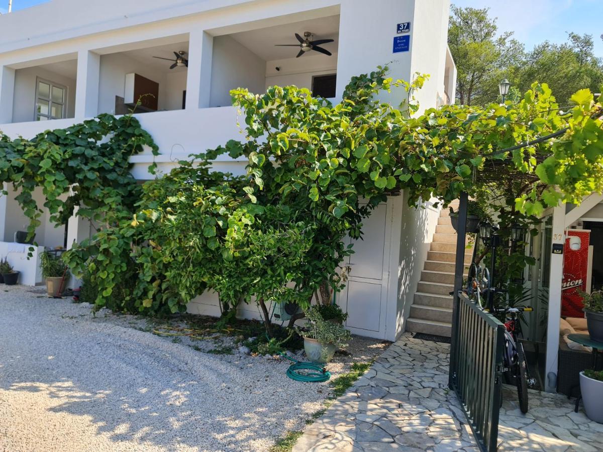 Villa Ella Zaostrog Croatie Appartement
